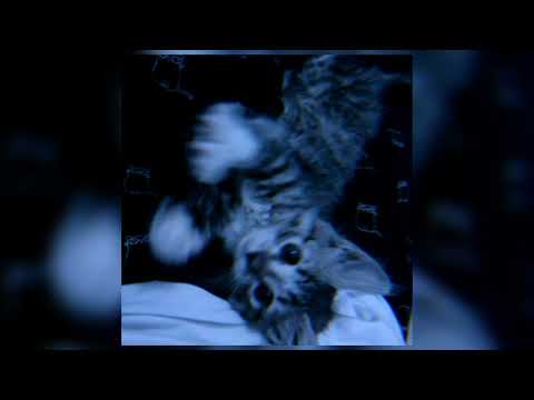 Видео: thomas mraz, yanix - хочу к тебе★(speed up)