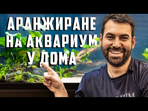 Видео: НАШАТА УСЛУГА - АРАНЖИРАНЕ НА АКВАРИУМ