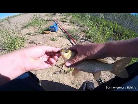 Видео: Карасевич с канавы как из пулемета. Рыбалка в Омской области.