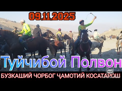 Видео: Бузкаший Чорбоғ Ҷамотий Косатарош 09.11.2025 Улоқ Тоҷикистон