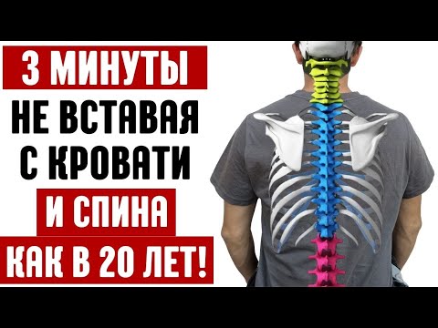 Видео: ЭТО упражнение снимет боль и омолодит спину за 3 минуты!