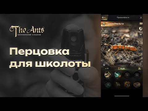 Видео: Перцовка для школоты или Прионопельта. Полный обзор