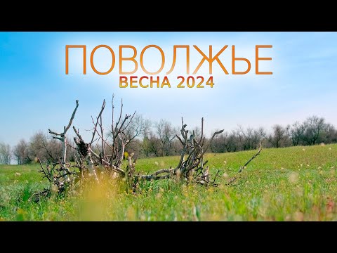 Видео: Поволжье. Средняя Волга. Весна, 2024. #UHD.TRIP #Поволжье #Весна #Половодье #Sirui Anamorphic