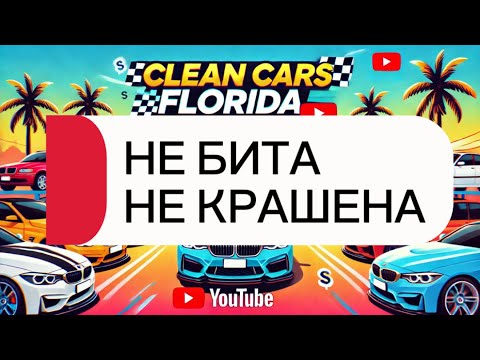 Видео: Только целые авто! Премиум из США от $20,000 – Аукцион Orlando, Florida, USA