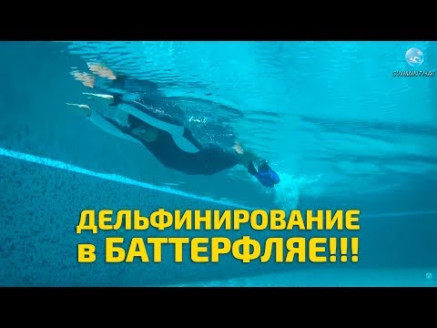 Видео: Как научиться плавать баттерфляем?! Основы: работа ног и дельфинирование