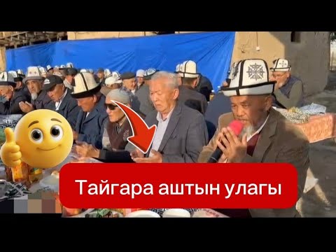 Видео: Тайгара аштын улагы