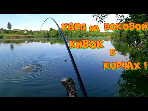 Видео: ЛОВЛЯ  КАРПА В КОРЯЖНИКЕ ЛЕТОМ ! РЫБАЛКА НА УДОЧКУ С БОКОВЫМ КИВКОМ .