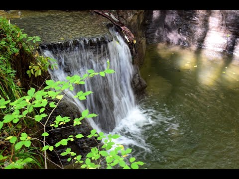Видео: Ставрополь. Женский монастырь. Святой источник Серафима Саровского. Члинский водопад.