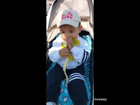 Видео: На память сафи кызым