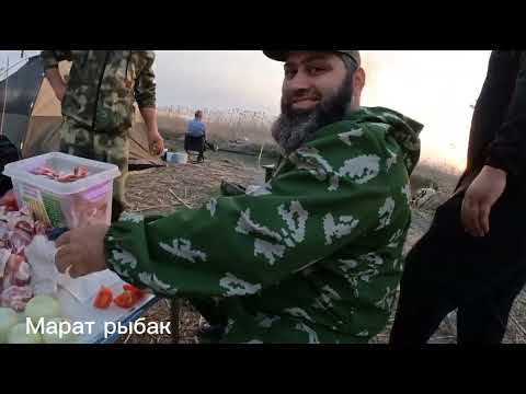 Видео: на этом канале бешеный клёв сазана