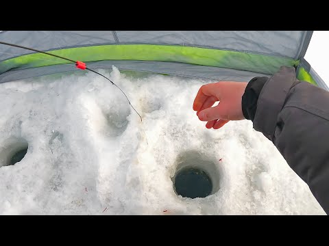 Видео: Окунь размером С ЯЩИК. Плотва атакует чертика! Рыбалка на мормышку. Новые места