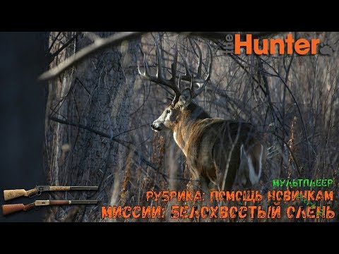 Видео: theHunter Classic/Рубрика:помощь новичкам/прохождение миссий на белохвостого оленя ч.2/Multiplayer