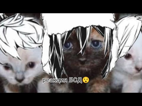 Видео: БСД реакция на ...?🧏‍♀️🤫.