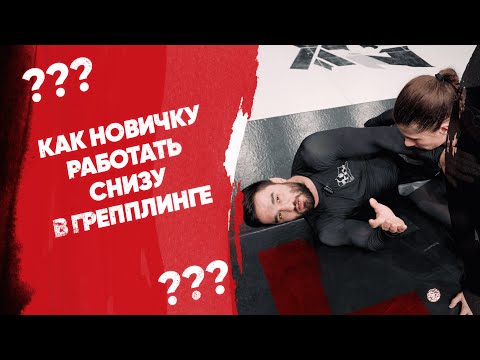 Видео: Основы грепплинга / Как новичку работать снизу в грепплинге?