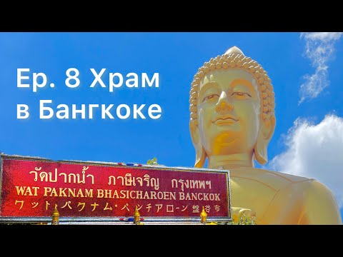 Видео: Ep. 8 | Храм в Бангкоке