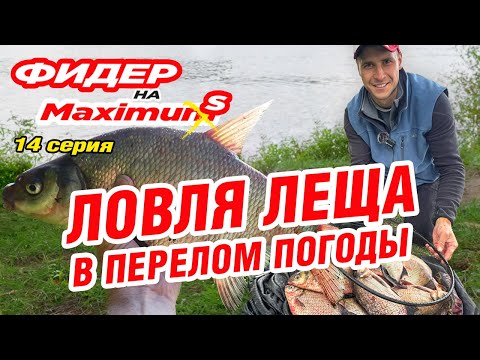 Видео: Фидер на Максимум! Серия 14. Ловля леща в перелом погоды