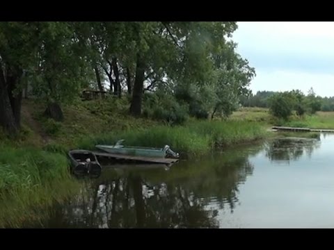 Видео: В Торопецком районе выращивают форель