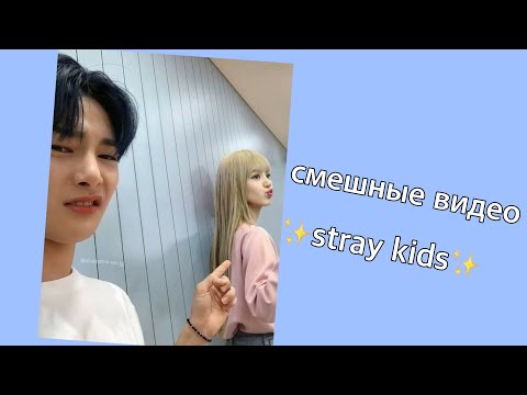 Видео: смешные видео с stray kids || 1 часть