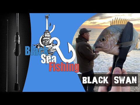 Видео: Тестируем морем Favorite Black Swan BSW1-610SUL-HS! Rockfishing на Черном Море!