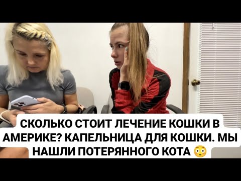 Видео: VLOG: СКОЛЬКО СТОИТ ЛЕЧЕНИЕ КОШКИ В АМЕРИКЕ? КАПЕЛЬНИЦА ДЛЯ КОШКИ. МЫ НАШЛИ ПОТЕРЯННОГО КОТА 😳