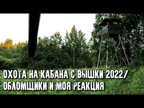 Видео: Охота на кабана с вышки 2022/Ленобласть/Сложил все маты на квадроциклистов