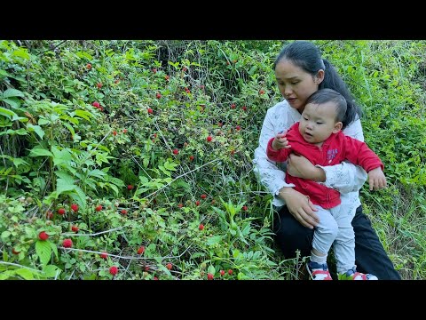 Видео: Йике впервые ест землянику. Он не может перестать есть