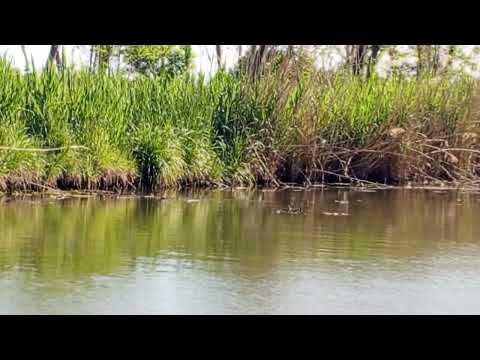 Видео: Рыбачьем на неизвестном водоёме для людей | лютая рыбалка!!!