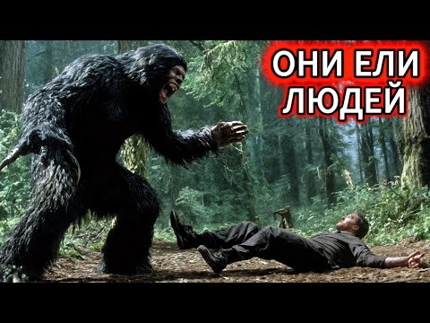 Видео: 80 лет МОЛЧАНИЯ. Хутор ЛЮДОЕДОВ в тайге! Ты НЕ ПОВЕРИШЬ, что мы нашли.