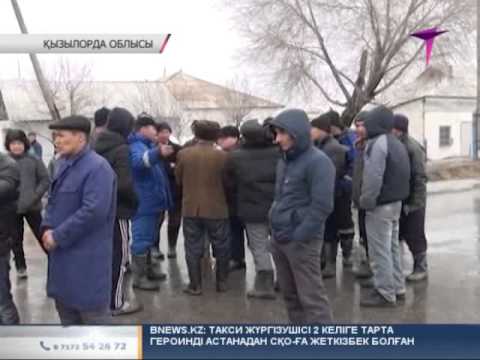 Видео: Жаңақорған ауданы судың ортасында қалды