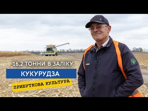 Видео: Кукурудза до 18 тонн! Найприбутковіші культури – цукровий буряк та кукурудза, ярий пивоварний ячмінь