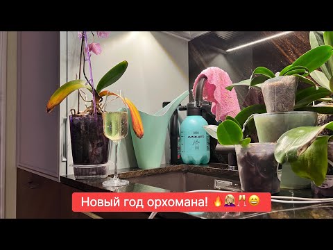 Видео: Все люди как люди, а я орхоман! ⛄️🎅🤷🏼‍♀️