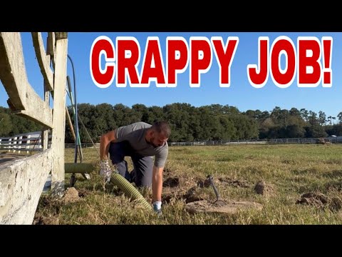 Видео: Мой ПЕРВЫЙ день «РАБОТЫ»