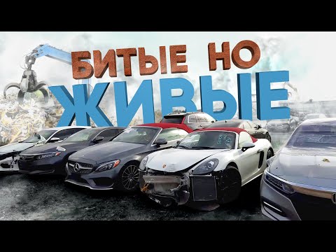 Видео: Битые, но живые: Как выглядят авто на белорусской таможне? Машины из США, которые можно купить