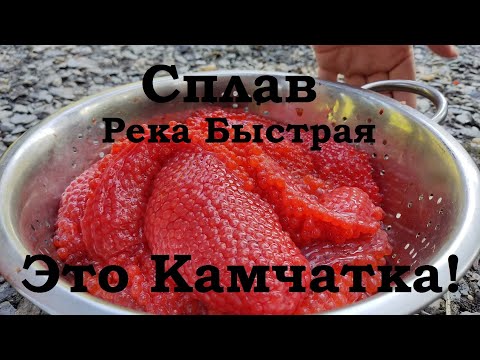 Видео: Сплав река Быстрая  5 часть Камчатка 2024