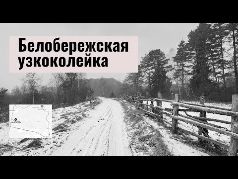 Видео: 🚂 Белобережская узкоколейка | Брянская область