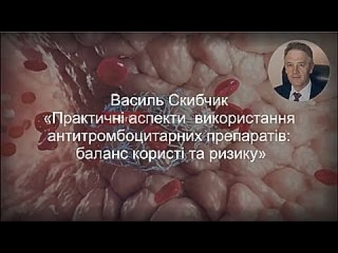 Видео: Василь Скибчик, 13 вересня 2025