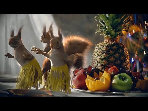 Видео: Новогодние белки "Шалабуда" /Веня Д'ркин/