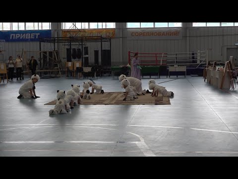 Видео: На межмуниципальном форуме многодетных семей