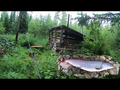 Видео: ОДИН В ТАЙГУ!!! НАШЁЛ ИЗБУ! ОТПУСТИЛ ТАЙМЕНЯ! ХАРИУС КОПЧЁНЫЙ! УХА! ХАКАСИЯ!