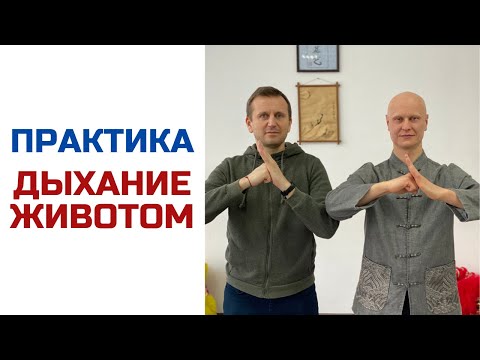 Видео: Практика дыхание животом | Чистим сосуды