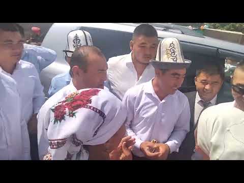 Видео: аксы кум айылы кыз узатуу