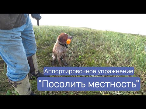 Видео: Аппортировочное упражнение "Посолить местность" Что это такое?