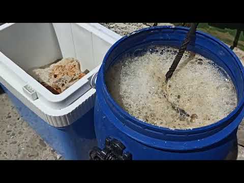 Видео: Подготовка СРК для Alex'sREEF 2.0