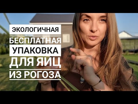 Видео: Экологичная и бесплатная упаковка для яиц. Наш деревенский способ🔥