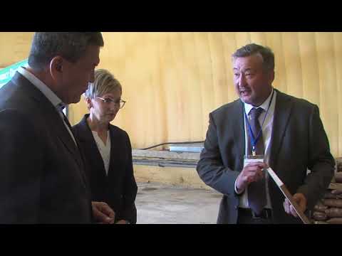 Видео: Аким Северо-Казахстанской области посетил Мамлютский район