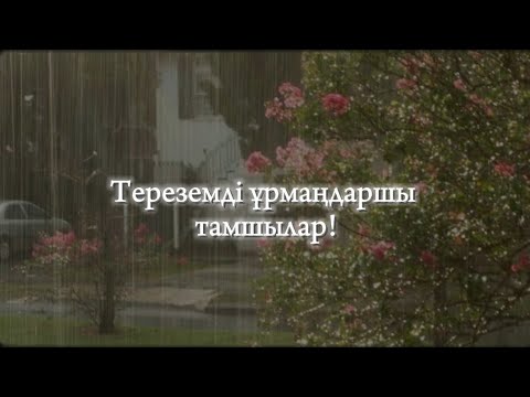 Видео: Нұрай Мықты-тамшылар-кавер-караоке,текст♡♡♡