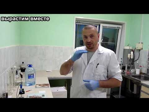 Видео: PH торфа для выращивания шампиньонов .Влияния РН на болезни и рост мицелия в торфе(покровном слое).