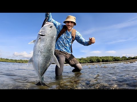Видео: ОСТРОВ АКУЛ [Часть-3] Офигел что поймал на новом необитаемом острове Подводная охота на гавайку №28