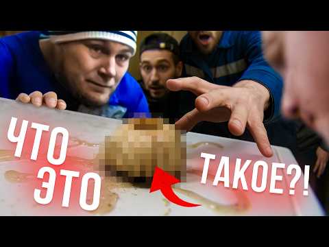 Видео: Мы снова поймали ЧТО-ТО ! Попали в ШТОРМ  и увидели СЕВЕРНОЕ СИЯНИЕ В ОТКРЫТОМ ОКЕАНЕ !