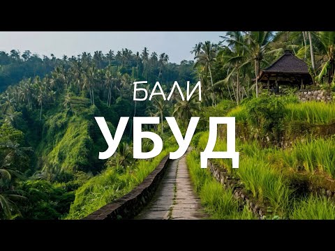 Видео: ПОЛНОЕ ПОГРУЖЕНИЕ В БАЛИ | Землетрясение, восхождение на вулкан и нападение обезьян